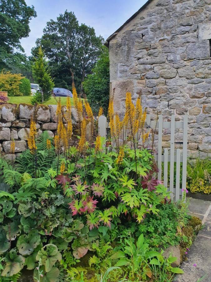 Howgill Farm Bolton Abbey Appletreewick Zewnętrze zdjęcie